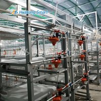 Système de cages automatiques pour poulets de chair de type H à 3 niveaux et 4 niveaux, design moderne pour élevage avicole