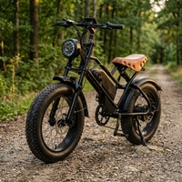 Vélo de montagne électrique à pneus larges de 20 pouces, batterie au lithium 48V, moteur à moyeu arrière 7 vitesses, vélo électrique pour adultes, hors route, freins à disque doubles