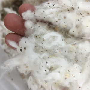 Material de Hilatura de Alta Calidad, 100% Algodón Peinado, Residuos de Algodón de Primera Calidad, Tipo Likerin, Modelo Thanhsvin, Color Blanco Ms Florence - Product Image 1