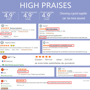 Peluche Super Morbido di Personaggio TikTok Popolare su Internet, Ciondolo da 15-20 cm, Giocattolo in Cotone per Macchina Artiglio, Regalo Antistress - Product Image 6