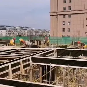 Contreplaqué noir prêt à l'emploi de 9,12,18mm pour la construction Marine coffrage béton mealine presse à chaud peuplier feuille de contreplaqué laminé