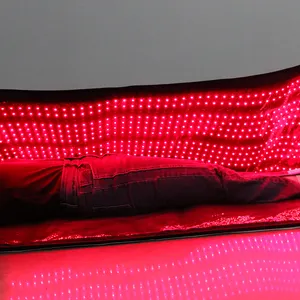 360 फुल बॉडी रेड लाइट थेरेपी बेड ब्लैंकेट दर्द निवारक एलईडी लाइट बैग इन्फ्रारेड थेरेपी स्लीपिंग पॉड रेड लाइट टैनिंग बेड के पास