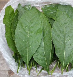 500 g de té de hoja de Keji Beling, hojas de Pecah Beling, té negro general, crudo, seco, puro y natural - Product Image 5