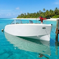 Système de télécommande pour bateau électrique autonome de 6,6 m, idéal pour la pêche sportive et les études hydrographiques, certifié CE, soudé, directement de l'usine