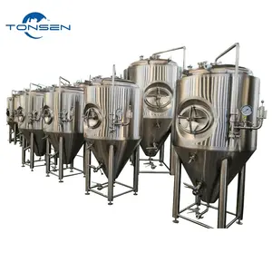 Bier Brouwen Apparatuur Micro Brouwerij Rvs 304 Fermenteren Apparatuur 200L 300L 500L 1000L