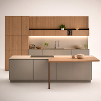 Kabinet Dapur Pulau Modern Modular Kayu RTA Soft Close Pull Out Tahan Air Ramah Lingkungan Grosir Langsung dari Pabrik