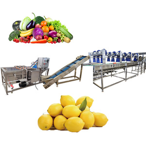 Macchina Automatica per la Pulizia di Limoni e <span class=keywords><strong>Datteri</strong></span> con Spazzola e Lavaggio a Bolle - Product Image 1