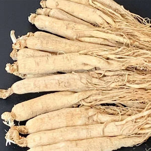 Оптовая продажа, натуральный цельный корень женьшеня: оптом, премиальные белые корни женьшеня для продажи - Product Image 5