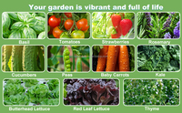 Système de culture hydroponique vertical à 7 étages pour la culture de légumes en serre intérieure sans sol OEM