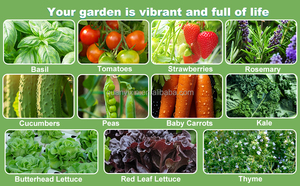 Système de culture hydroponique vertical à 7 étages <span class=keywords><strong>pour</strong></span> la culture de légumes en serre intérieure sans sol OEM - Product Image 6