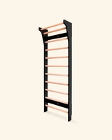 Vente en gros d'équipement de gymnastique dans la jungle pour enfants, kit d'escalade, murs d'escalade pour enfants, intérieur