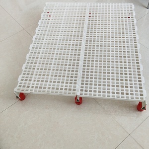 Plancher en plastique PE pour volailles, 1200 x 500 mm, pour élevage de poulets de chair - Product Image 4