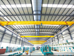 Pont roulant monopoutre LDA économique de 2, 3 et 5 tonnes pour applications légères - Product Image 3