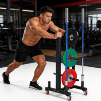 VIGFIT Support vertical professionnel haute capacité pour plaques de musculation, organisateur mobile de barres d'haltères, sûr, durable et écologique