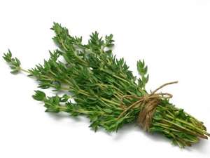 100% herbes biologiques naturelles Thymus Mongolicus Ronn thym séché séché feuilles de thym moulu frotté à vendre - Product Image 5