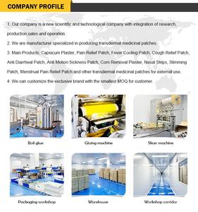 Nova Chegada Hot Cold Pack Natural Herbal Wormwood Transdérmico Pescoço Etiqueta Lombar Espinha Cervical Patch para Alívio Da Dor - Product Image 6