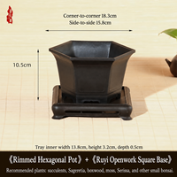 Jardinières hexagonales carrées en résine de style chinois pour orchidées Phalaenopsis, 30 cm de diamètre, pour usage sur bureau, pots de fleurs, vente directe d'usine