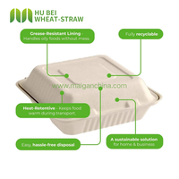 Boîtes à emporter personnalisées 8x8 pouces en bagasse biodégradable et compostable pour hamburgers