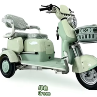 Tricycle électrique 48V/60V à batterie au plomb, 600W, frein à tambour, siège en mousse, panier avant, pneus petits, cadre en acier carbone, 3 vitesses, pour la ville
