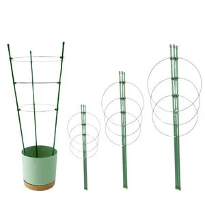 Cage de plante de vigne en plastique, Support de plante de vigne grimpante, cadre de Support, Support de piquet, treillis de plante