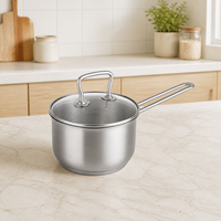 Leverancier van roestvrijstalen kookgerei, 2,8L melkpan kookpot met deksel, inductie compatibel, soep pan voor gebruik in de keuken