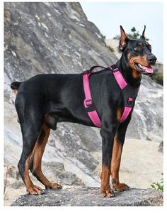 カスタムパーソナライズされたペットの犬のハーネス戦術的な大きな犬のハーネスソフトハンドル犬の体重ハーネス - Product Image 5