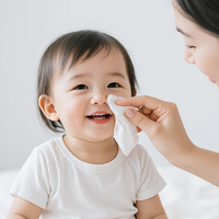 Usine OEM de lingettes pour bébés en gros, lingettes humides organiques, fournisseur de 100 pièces