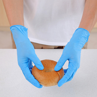 Gants en nitrile bleus sans poudre en gros avec des gants en nitrile jetables ménagers de haute qualité