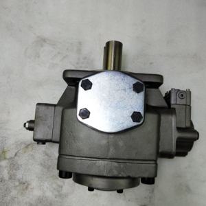 Bomba de Paletas Hidráulica PV7-1A/25-45RE01MC0-08 PV7-1X/25-30RE01MC0-16 Bomba de Paletas PV7-1X/06-10-RA01MA0-10 PV7-1X/63-71RE07MC0-16 - Product Image 5