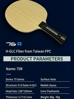 Raqueta de Tenis de Mesa SANWEI 75R 5+2H-GLC con Anillo de Arco Exterior para Ataque Rápido y Loop, Profesional, para Nivel Intermedio a Avanzado