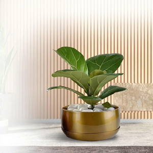 Maceta Moderna de Metal Dorado para Escritorio, Exhibición de Plantas Verdes de Interior - Product Image 6