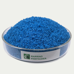 Fertilizzante Agricolo Idrosolubile <span class=keywords><strong>NPK</strong></span> <span class=keywords><strong>20</strong></span> <span class=keywords><strong>20</strong></span> <span class=keywords><strong>20</strong></span>, Fertilizzante Composto <span class=keywords><strong>NPK</strong></span> <span class=keywords><strong>20</strong></span>-<span class=keywords><strong>20</strong></span>-<span class=keywords><strong>20</strong></span> di Colore Blu - Product Image 3