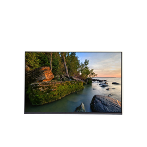 M201EW01 V4 Panel LCD Original de 20.1 Pulgadas en Oferta, Pantalla LCD TFT de 1680*1050 - Product Image 1