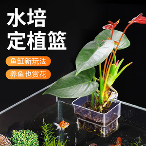 Cesta de cultivo hidropónico para acuario, taza de cultivo de plantas acuáticas montada en la pared de acrílico, decoración de plantas verdes para pecera - Product Image 1