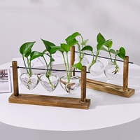 Stations de propagation, vase en verre hydroponique avec cadre en bois, décoration de bureau, décoration de la maison