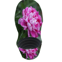 Couvercle de pot de pivoine personnalisé Paeonia Kansas Decor Pot Sleeve pour plante