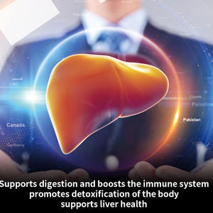 タンポポの葉と根の茶ODMバッグ 消化器系の健康をサポートするバルクサプリメント 肝臓の健康を促進する製品 - Product Image 2