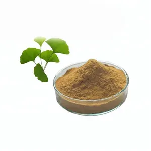 Herbal Plant Extract Natural Organic Supply Ginkgo Biloba Leaf Extract Flavonoids