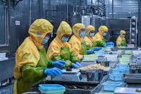 Chambre froide commerciale pour cuisine centrale, projet de congélateur-réfrigérateur pour aliments