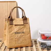 Sac isotherme Tyvek personnalisé multi-usages pour pique-nique, écologique, réutilisable, imperméable, pour le bureau, pour femmes et hommes