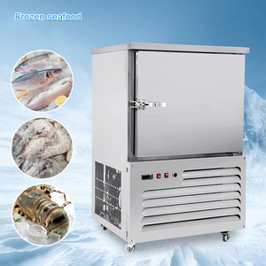 Réfrigérateurs à <span class=keywords><strong>congélateur</strong></span> supérieur, congélateurs horizontaux, congélateurs à air, refroidisseur, 15 plateaux, excellent pour la fabrication de gelato et la congélation multiple - Product Image 6