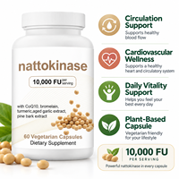 Nattokinase 10000 FU en capsules avec CoQ10, curcuma et extrait d'ail vieilli – Soutien cardiaque – Complément végétarien