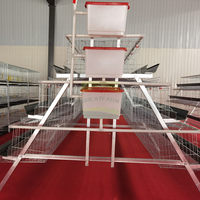 Cage à volailles de type Great Farm, 3 étages, 4 portes par niveau, en fil d'acier galvanisé avec abreuvoir et plateau à œufs