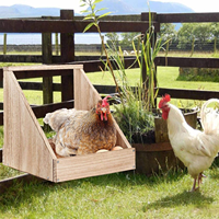 Nouvelle Boîte de Nidification en Bois Massif pour Poulets, Vente en Gros Usine, Accessoire Durable et Écologique pour Ferme Avicole de Jardin, en Bois Naturel pour Poulailler