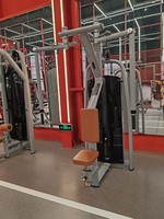 Appareil de musculation professionnel pour la poitrine et les épaules (Pearl Delt/Pec Fly) avec garantie – Vente en gros