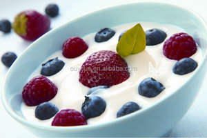 Macchina per <span class=keywords><strong>Yogurt</strong></span> Greco Elettrica Portatile in Acciaio Inox con Controllo Digitale per Uso Domestico - Product Image 5