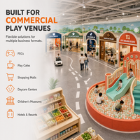 Équipement de jeu intérieur commercial pour vitrines de ville, à vendre : Château avec double toboggan et piscine à balles pour projets de garderies
