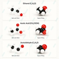 Juego de Química Orgánica e Inorgánica de 157 Piezas, Modelos de Relleno Espacial con Bolas y Varillas para Grupos de Estudiantes