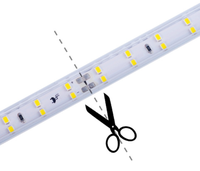 Bande lumineuse LED AC 110V 120V Double rangée 120 LED/m Triple rangée 180 LED/m IP67 Étanche Câble d'alimentation avec prise US