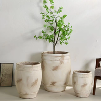 Set Pot Bunga Beton Putih Minimalis untuk Dekorasi Rumah